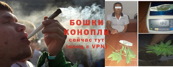 ALPHA-PVP Вяземский
