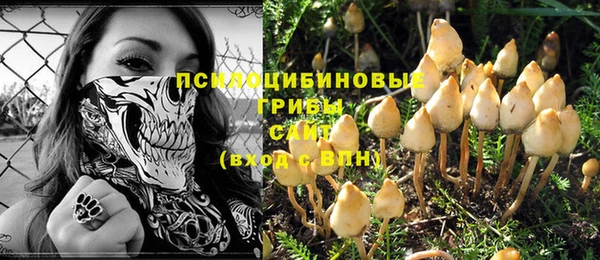 ALPHA-PVP Вяземский
