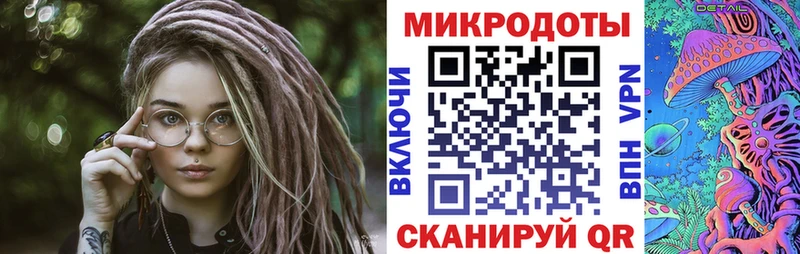 Псилоцибиновые грибы Psilocybine cubensis  Таганрог 